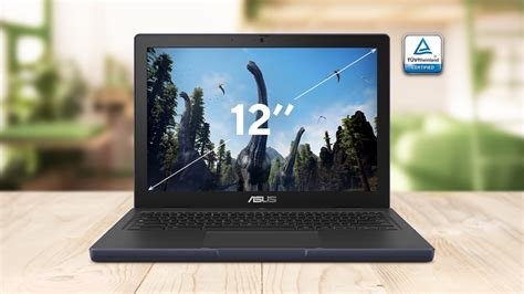 Asus Chromebook CZ12 CZ1204CM2A